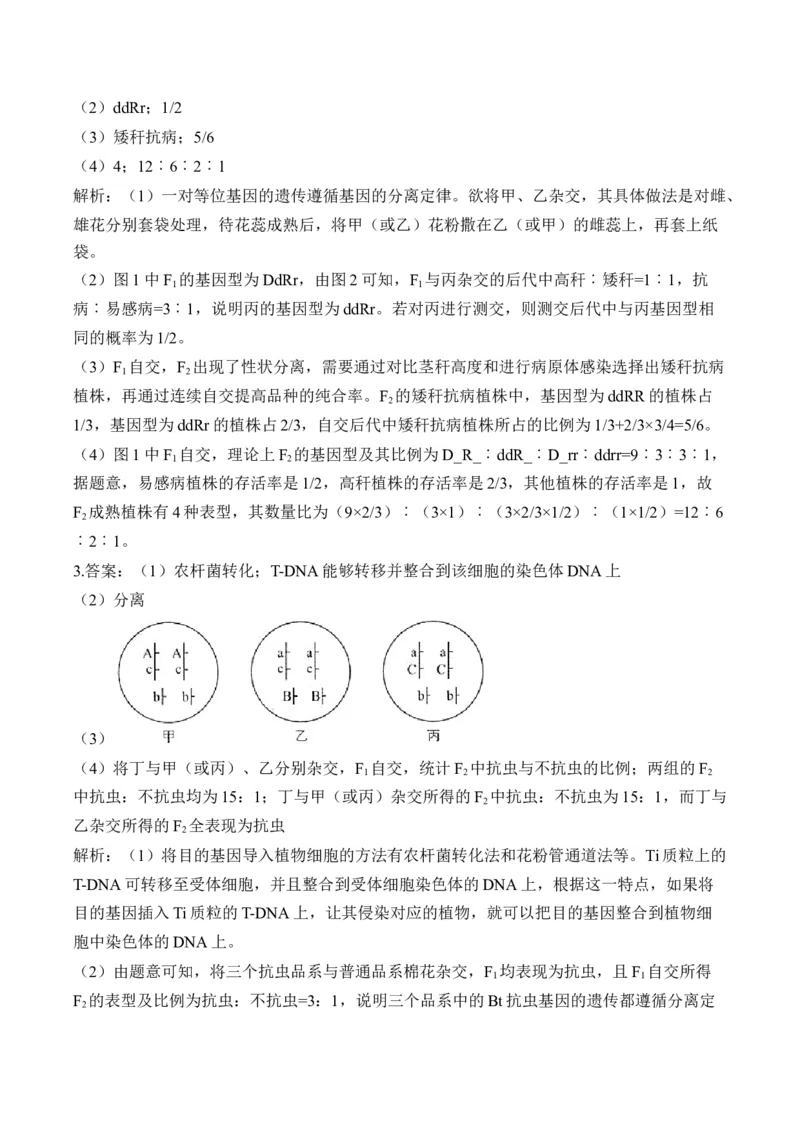专题6遗传的基本规律（非选择题）&mdash;&mdash;2025届高考生物学模块分练新高考版（含解析）_2025年新高考资料_二轮复习_新高考版2025届高考生物学模块分练选择题与非选择题（含解析）
