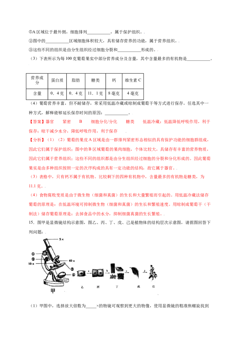 第2单元（第2章）细胞怎样构成生物体（提分小卷）（人教版）（解析版）_初中全科电子版试卷练习试题_生物_生物人教版7上练习&mdash;24新版已更新_人教生物7年级上单元试卷36份