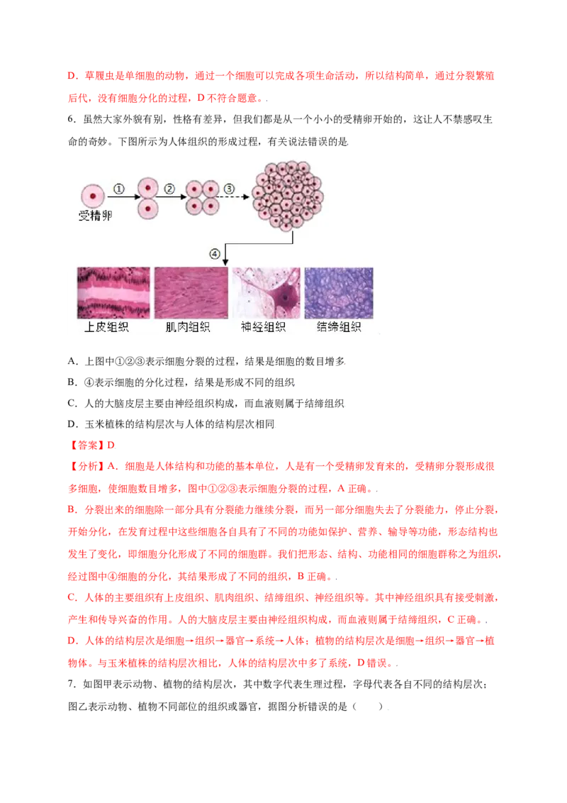 第2单元（第2章）细胞怎样构成生物体（提分小卷）（人教版）（解析版）_初中全科电子版试卷练习试题_生物_生物人教版7上练习&mdash;24新版已更新_人教生物7年级上单元试卷36份
