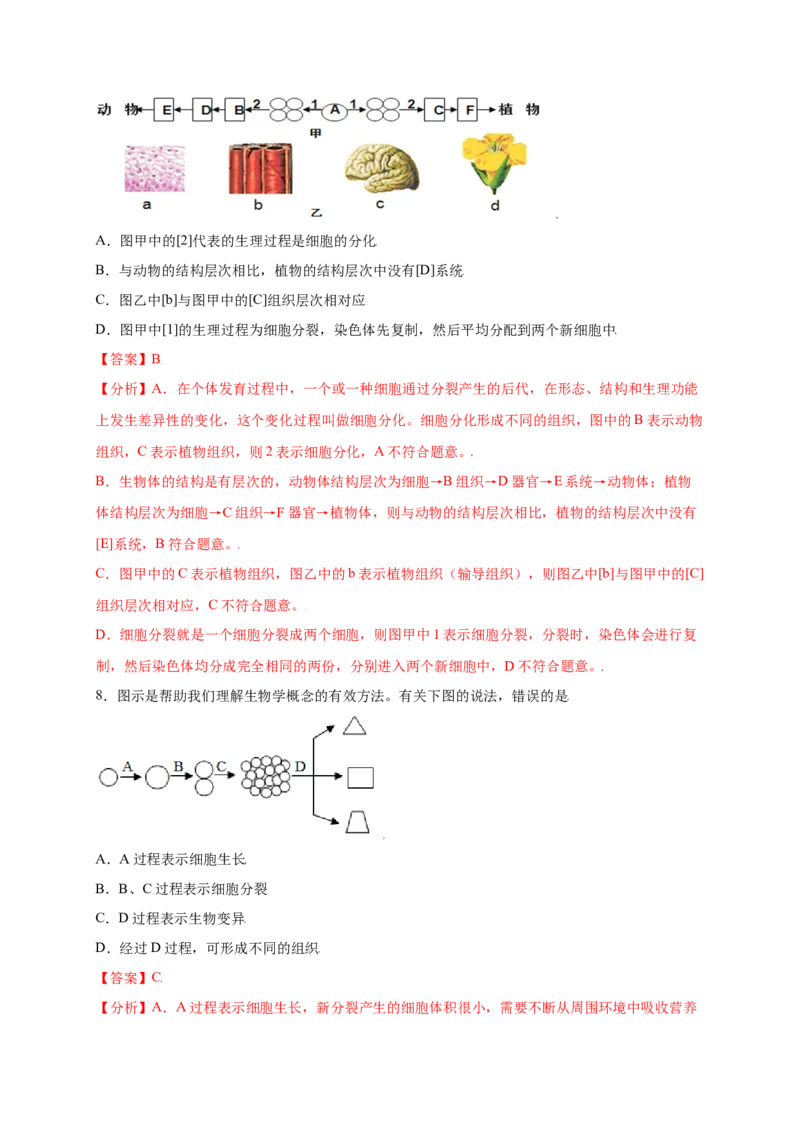 第2单元（第2章）细胞怎样构成生物体（提分小卷）（人教版）（解析版）_初中全科电子版试卷练习试题_生物_生物人教版7上练习&mdash;24新版已更新_人教生物7年级上单元试卷36份