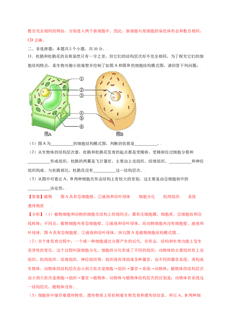 第2单元（第2章）细胞怎样构成生物体（提分小卷）（人教版）（解析版）_初中全科电子版试卷练习试题_生物_生物人教版7上练习&mdash;24新版已更新_人教生物7年级上单元试卷36份