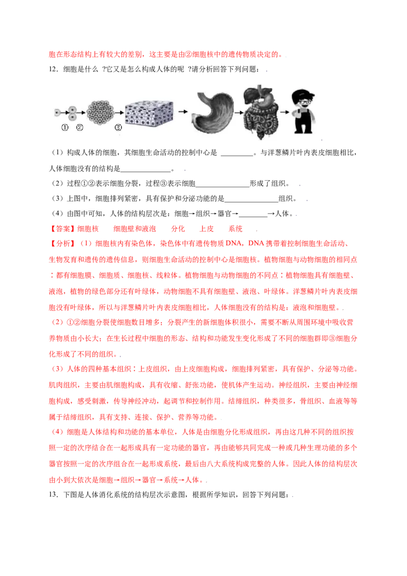 第2单元（第2章）细胞怎样构成生物体（提分小卷）（人教版）（解析版）_初中全科电子版试卷练习试题_生物_生物人教版7上练习&mdash;24新版已更新_人教生物7年级上单元试卷36份