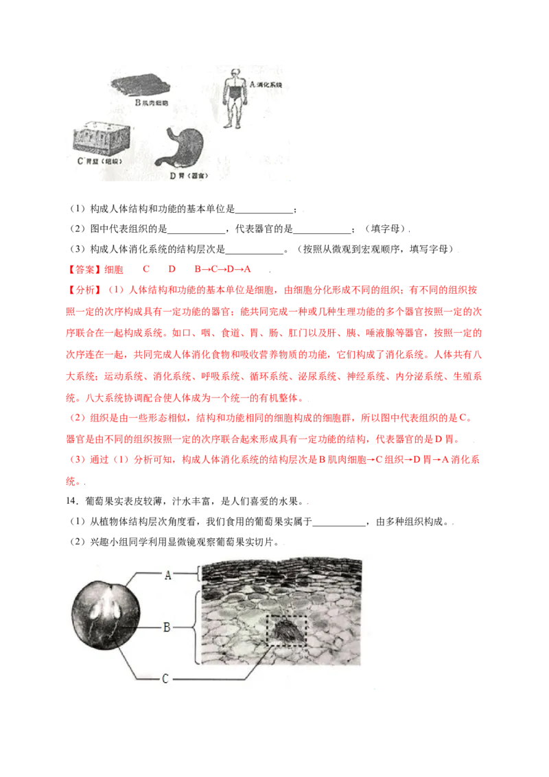 第2单元（第2章）细胞怎样构成生物体（提分小卷）（人教版）（解析版）_初中全科电子版试卷练习试题_生物_生物人教版7上练习&mdash;24新版已更新_人教生物7年级上单元试卷36份
