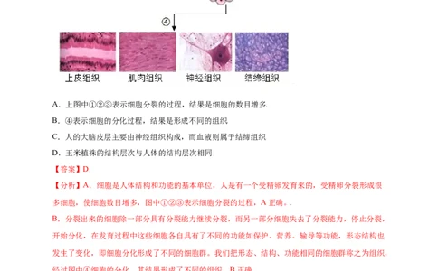 第2单元（第2章）细胞怎样构成生物体（提分小卷）（人教版）（解析版）_初中全科电子版试卷练习试题_生物_生物人教版7上练习&mdash;24新版已更新_人教生物7年级上单元试卷36份