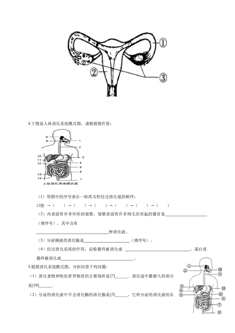 特训05填空题（20题）-（尖子生专用）（考试版）_初中全科电子版试卷练习试题_生物_生物人教版7下练习_人教生物7年级下专项练习16份
