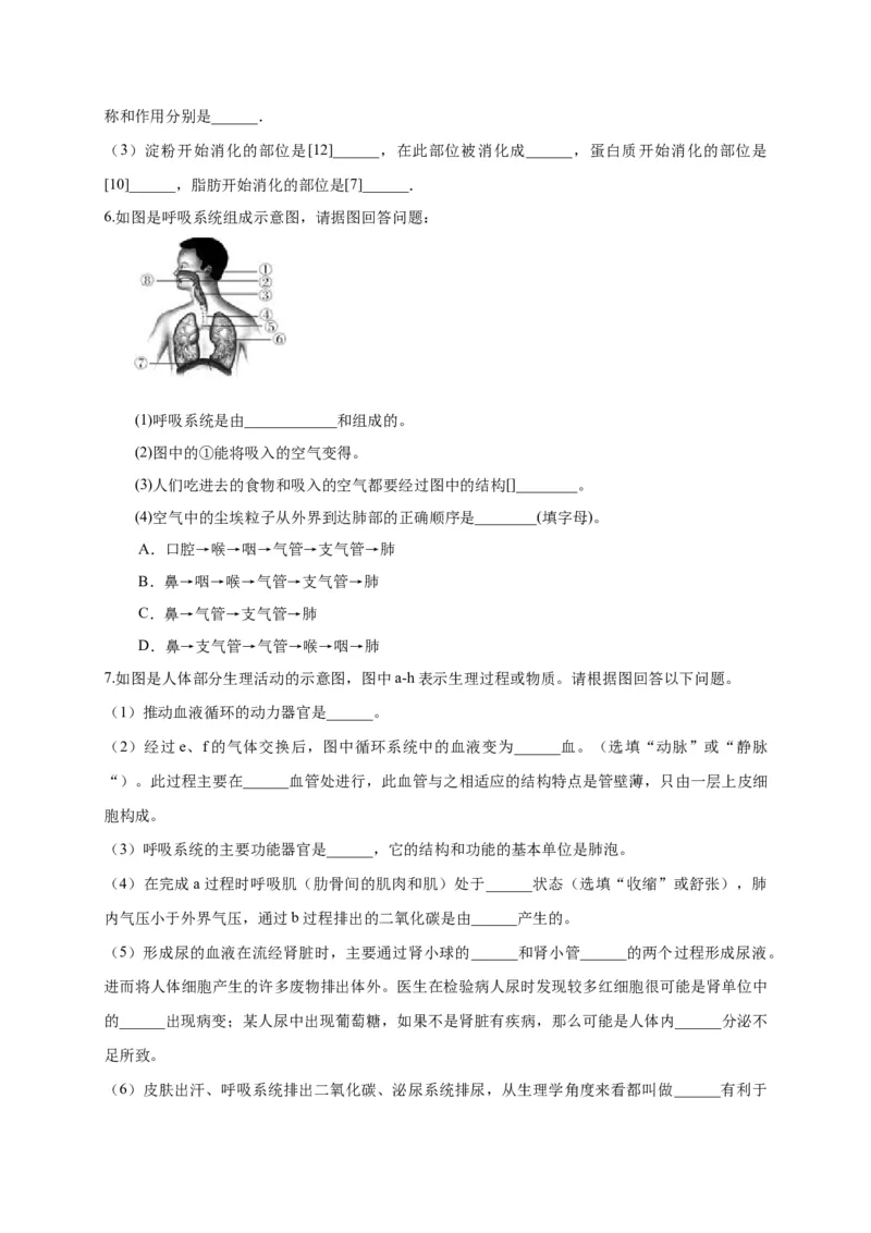 特训05填空题（20题）-（尖子生专用）（考试版）_初中全科电子版试卷练习试题_生物_生物人教版7下练习_人教生物7年级下专项练习16份
