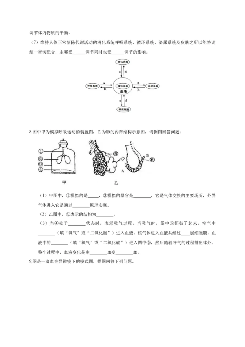 特训05填空题（20题）-（尖子生专用）（考试版）_初中全科电子版试卷练习试题_生物_生物人教版7下练习_人教生物7年级下专项练习16份
