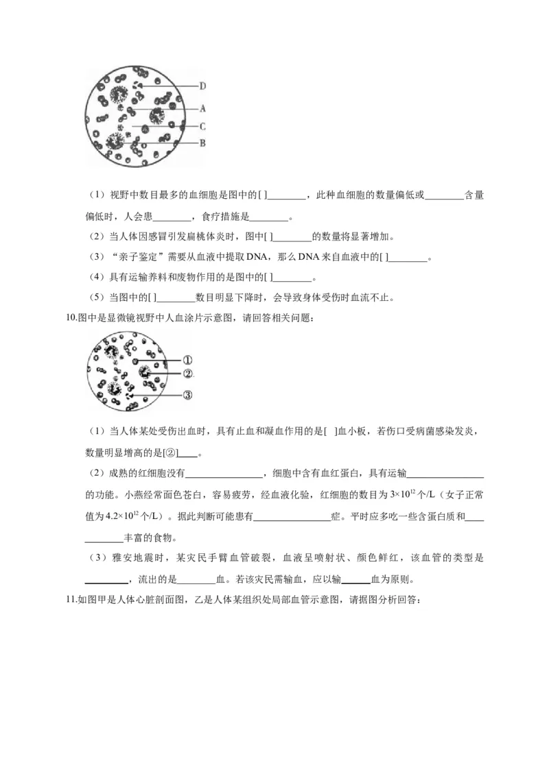 特训05填空题（20题）-（尖子生专用）（考试版）_初中全科电子版试卷练习试题_生物_生物人教版7下练习_人教生物7年级下专项练习16份