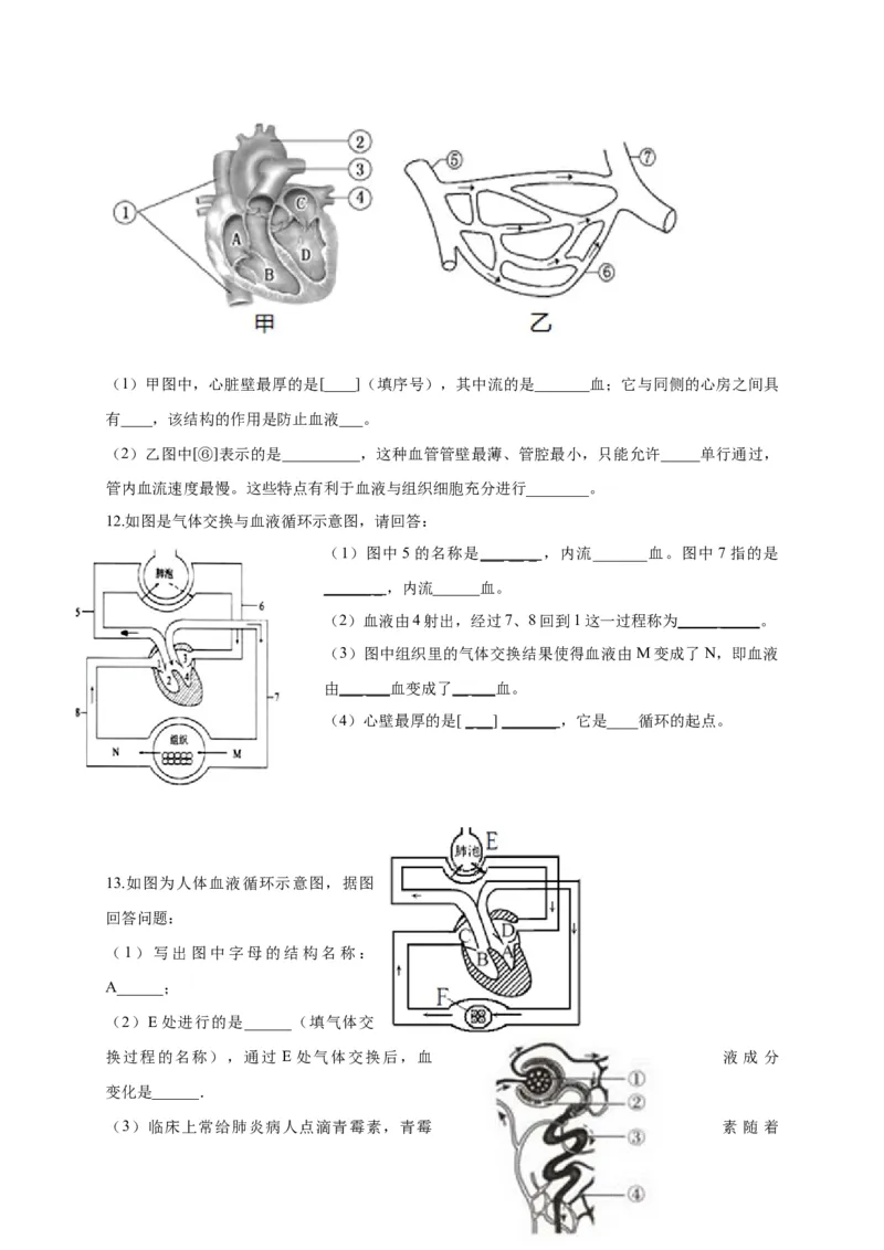 特训05填空题（20题）-（尖子生专用）（考试版）_初中全科电子版试卷练习试题_生物_生物人教版7下练习_人教生物7年级下专项练习16份