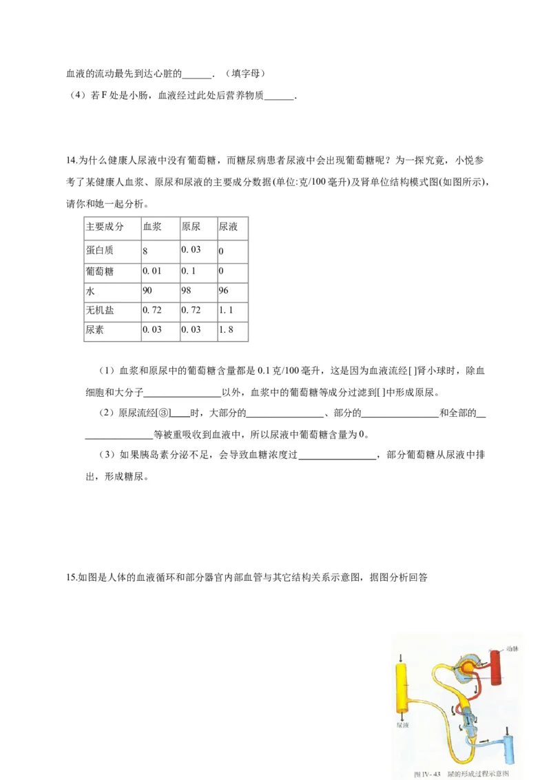 特训05填空题（20题）-（尖子生专用）（考试版）_初中全科电子版试卷练习试题_生物_生物人教版7下练习_人教生物7年级下专项练习16份