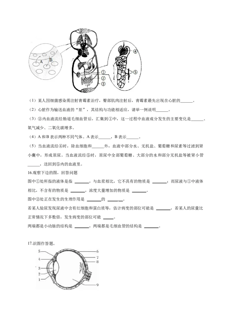 特训05填空题（20题）-（尖子生专用）（考试版）_初中全科电子版试卷练习试题_生物_生物人教版7下练习_人教生物7年级下专项练习16份