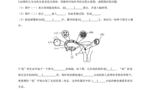 特训05填空题（20题）-（尖子生专用）（考试版）_初中全科电子版试卷练习试题_生物_生物人教版7下练习_人教生物7年级下专项练习16份