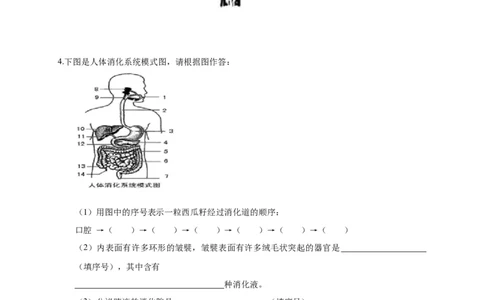 特训05填空题（20题）-（尖子生专用）（考试版）_初中全科电子版试卷练习试题_生物_生物人教版7下练习_人教生物7年级下专项练习16份
