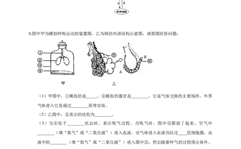 特训05填空题（20题）-（尖子生专用）（考试版）_初中全科电子版试卷练习试题_生物_生物人教版7下练习_人教生物7年级下专项练习16份