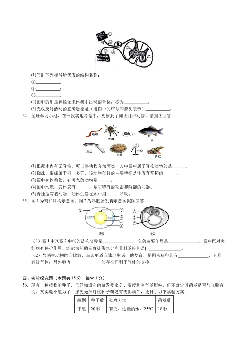 生物（无锡卷）（考试版A4）_初中全科电子版试卷练习试题_生物_2024中考模拟题生物(1)_二模_生物（无锡卷）-：2024年中考第二次模拟考试