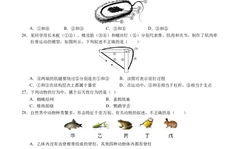 生物（无锡卷）（考试版A4）_初中全科电子版试卷练习试题_生物_2024中考模拟题生物(1)_二模_生物（无锡卷）-：2024年中考第二次模拟考试