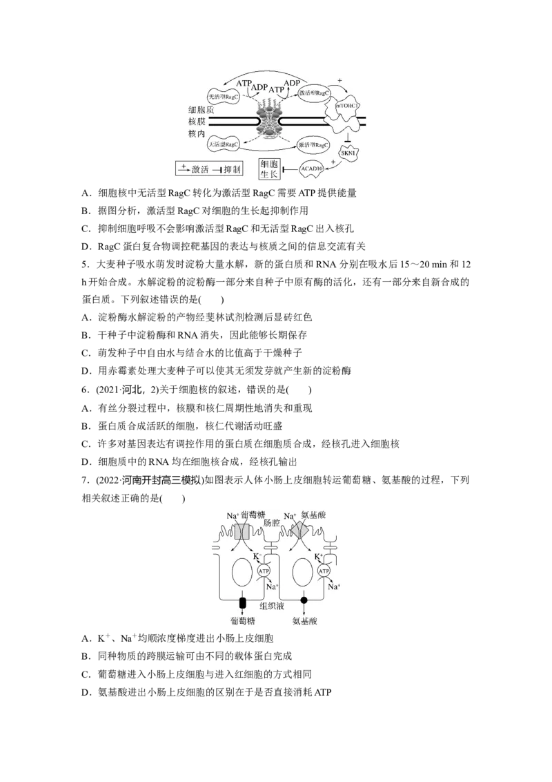 二轮专题强化练　训练1　细胞的基本组成和物质运输_通用版（老高考）复习资料_2023年复习资料_二轮复习_2023年高考生物二轮复习讲义+课件（全国版）_学生版_二轮专题强化练与考前特训