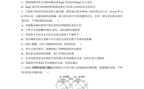 二轮专题强化练　训练1　细胞的基本组成和物质运输_通用版（老高考）复习资料_2023年复习资料_二轮复习_2023年高考生物二轮复习讲义+课件（全国版）_学生版_二轮专题强化练与考前特训