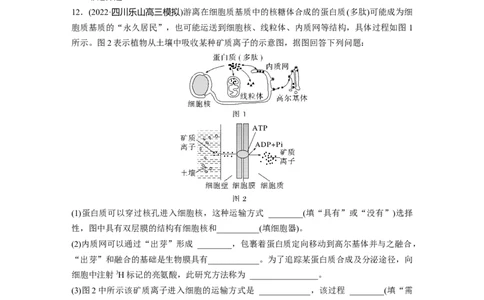 二轮专题强化练　训练1　细胞的基本组成和物质运输_通用版（老高考）复习资料_2023年复习资料_二轮复习_2023年高考生物二轮复习讲义+课件（全国版）_学生版_二轮专题强化练与考前特训