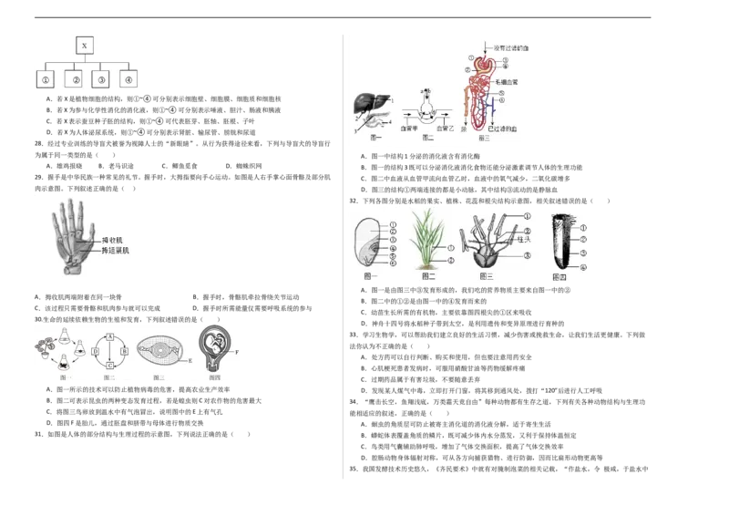 生物（苏州卷）（考试版A3）_初中全科电子版试卷练习试题_生物_2024中考模拟题生物(1)_三模（37套）_生物（苏州卷）