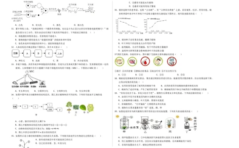 生物（苏州卷）（考试版A3）_初中全科电子版试卷练习试题_生物_2024中考模拟题生物(1)_三模（37套）_生物（苏州卷）