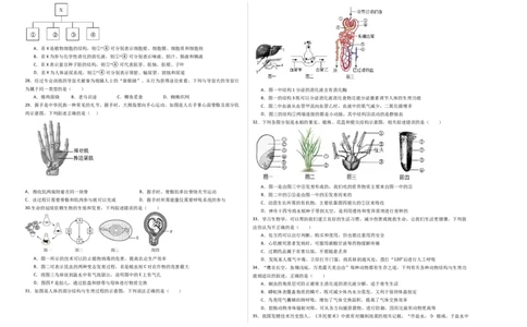 生物（苏州卷）（考试版A3）_初中全科电子版试卷练习试题_生物_2024中考模拟题生物(1)_三模（37套）_生物（苏州卷）