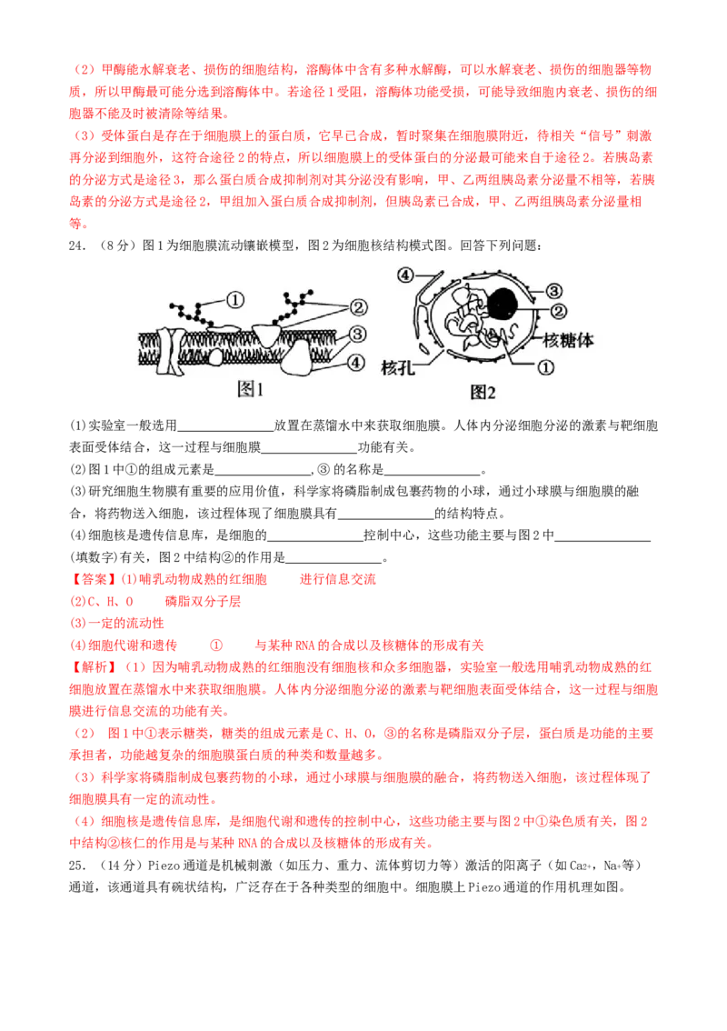 专题一细胞的物质基础和结构基础（解析版）_2025年新高考资料_二轮复习_上好课2025年高考生物二轮复习讲练测（新高考通用）3380526