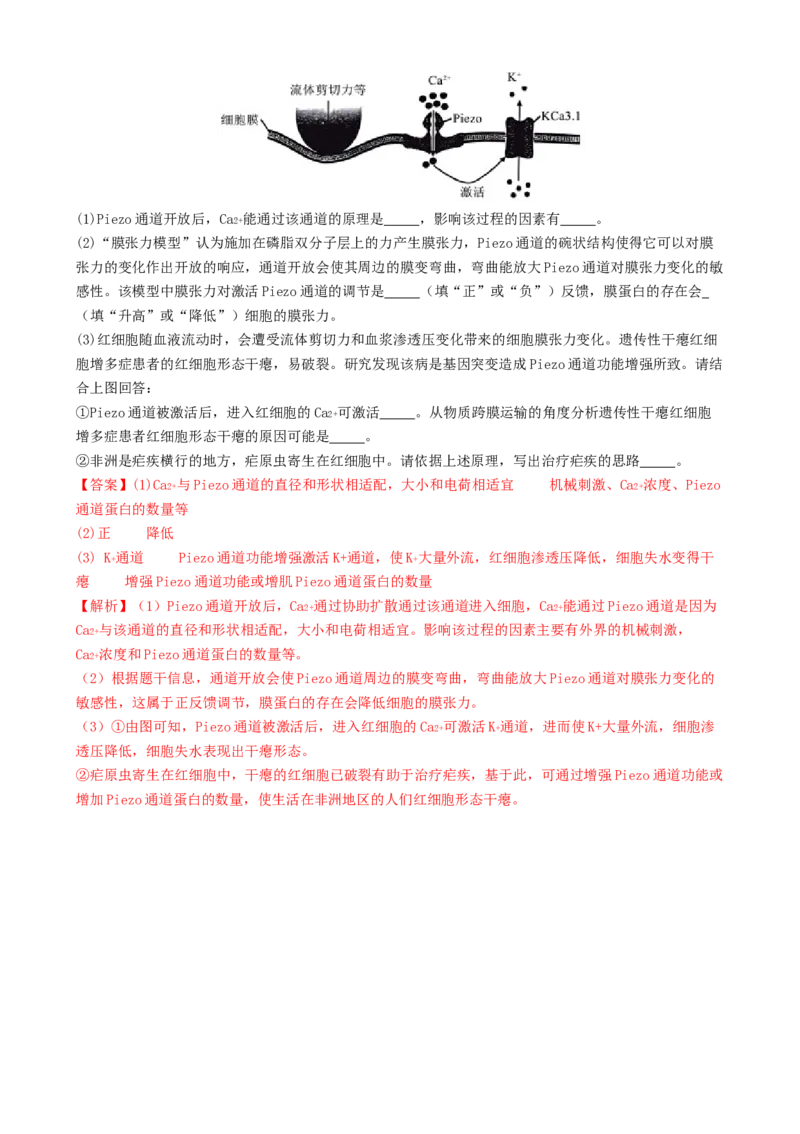 专题一细胞的物质基础和结构基础（解析版）_2025年新高考资料_二轮复习_上好课2025年高考生物二轮复习讲练测（新高考通用）3380526