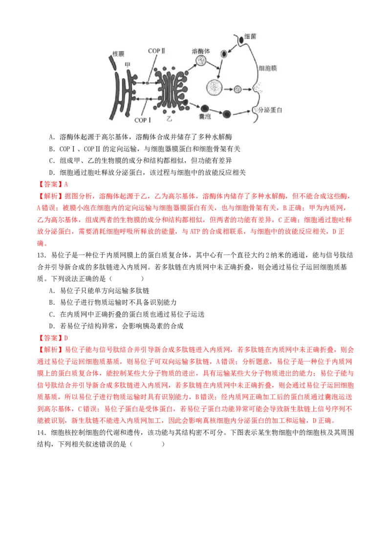 专题一细胞的物质基础和结构基础（解析版）_2025年新高考资料_二轮复习_上好课2025年高考生物二轮复习讲练测（新高考通用）3380526