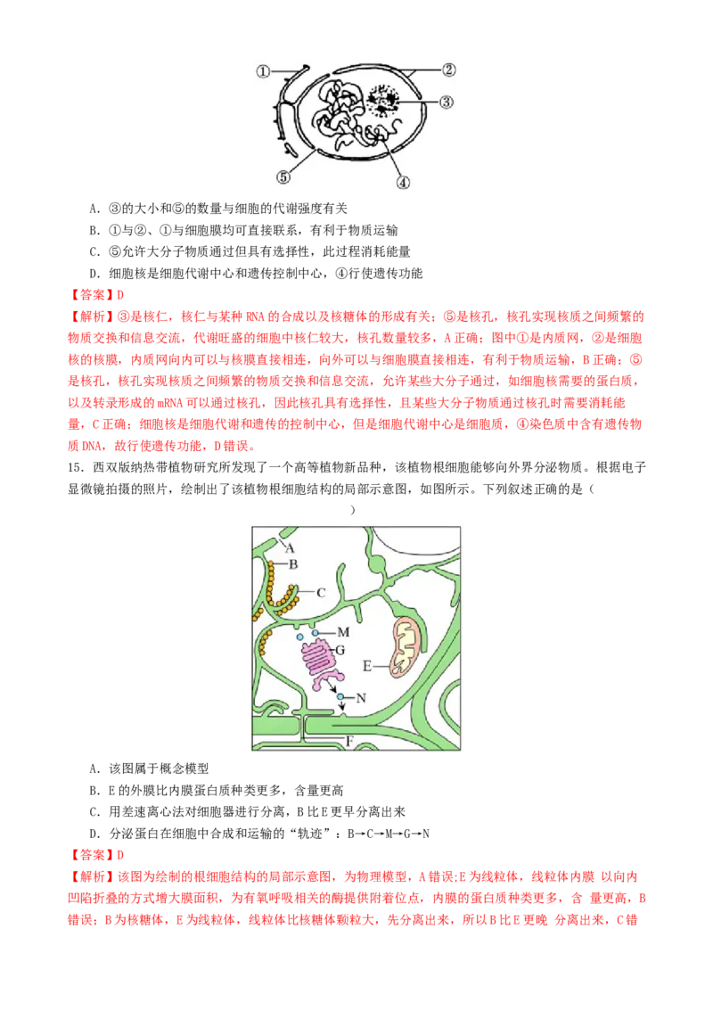 专题一细胞的物质基础和结构基础（解析版）_2025年新高考资料_二轮复习_上好课2025年高考生物二轮复习讲练测（新高考通用）3380526
