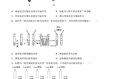 探究题02探究馒头在口腔中的变化-七年级生物下册教材实验探究必刷题（人教版）（原卷版）_初中全科电子版试卷练习试题_生物_生物人教版7下练习