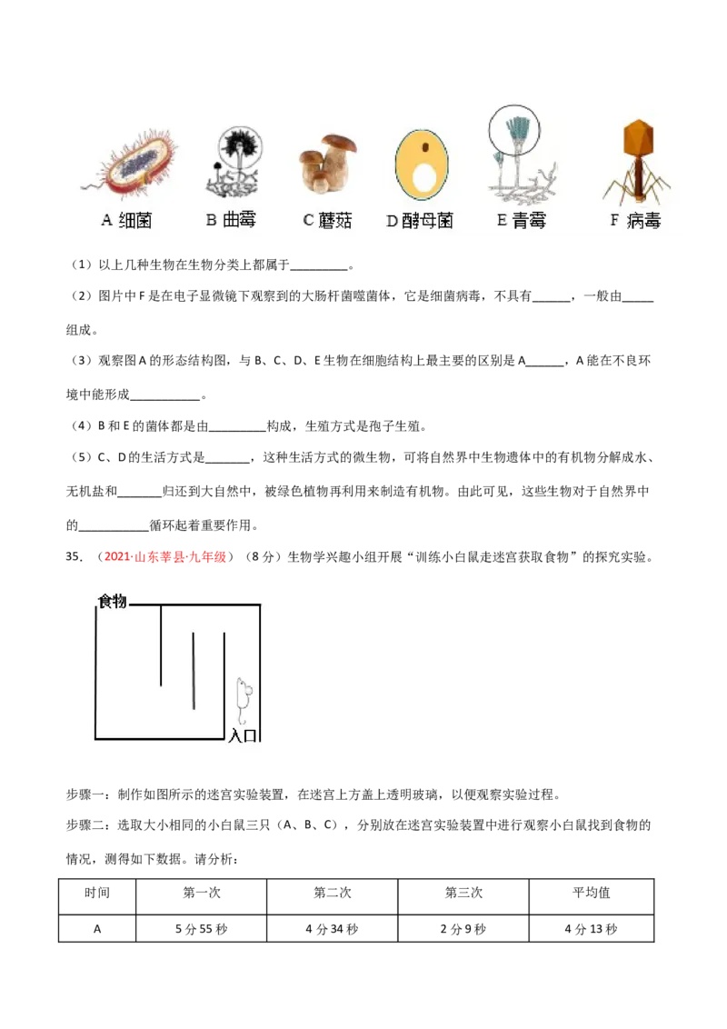 期末测试（A卷&middot;夯实基础）（原卷版）_初中全科电子版试卷练习试题_生物_生物8上练习_人教生物8年级上期末试卷10份
