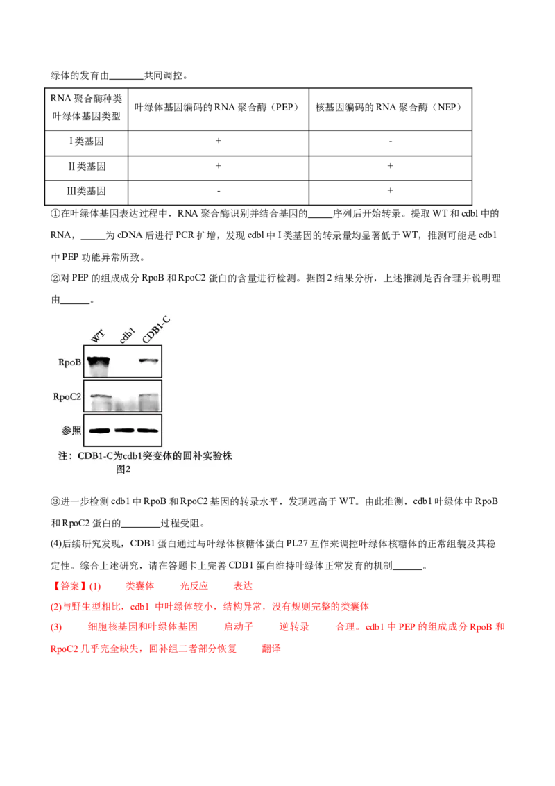 信息必刷卷04（北京专用）（解析版）_2025年新高考资料_2025考前信息卷_2025年高考生物考前信息必刷卷（北京专用）34427555