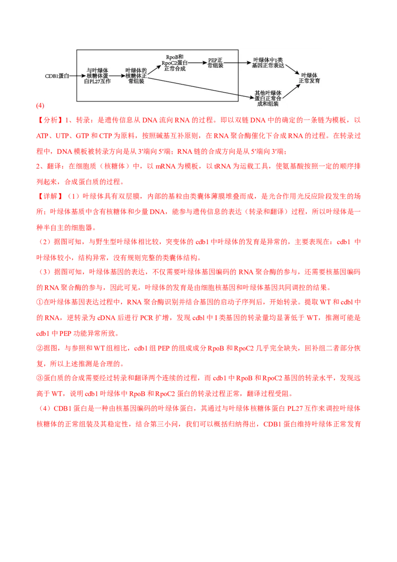 信息必刷卷04（北京专用）（解析版）_2025年新高考资料_2025考前信息卷_2025年高考生物考前信息必刷卷（北京专用）34427555