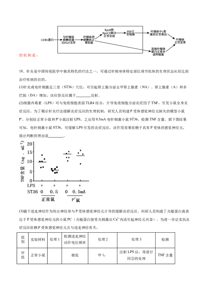 信息必刷卷04（北京专用）（解析版）_2025年新高考资料_2025考前信息卷_2025年高考生物考前信息必刷卷（北京专用）34427555