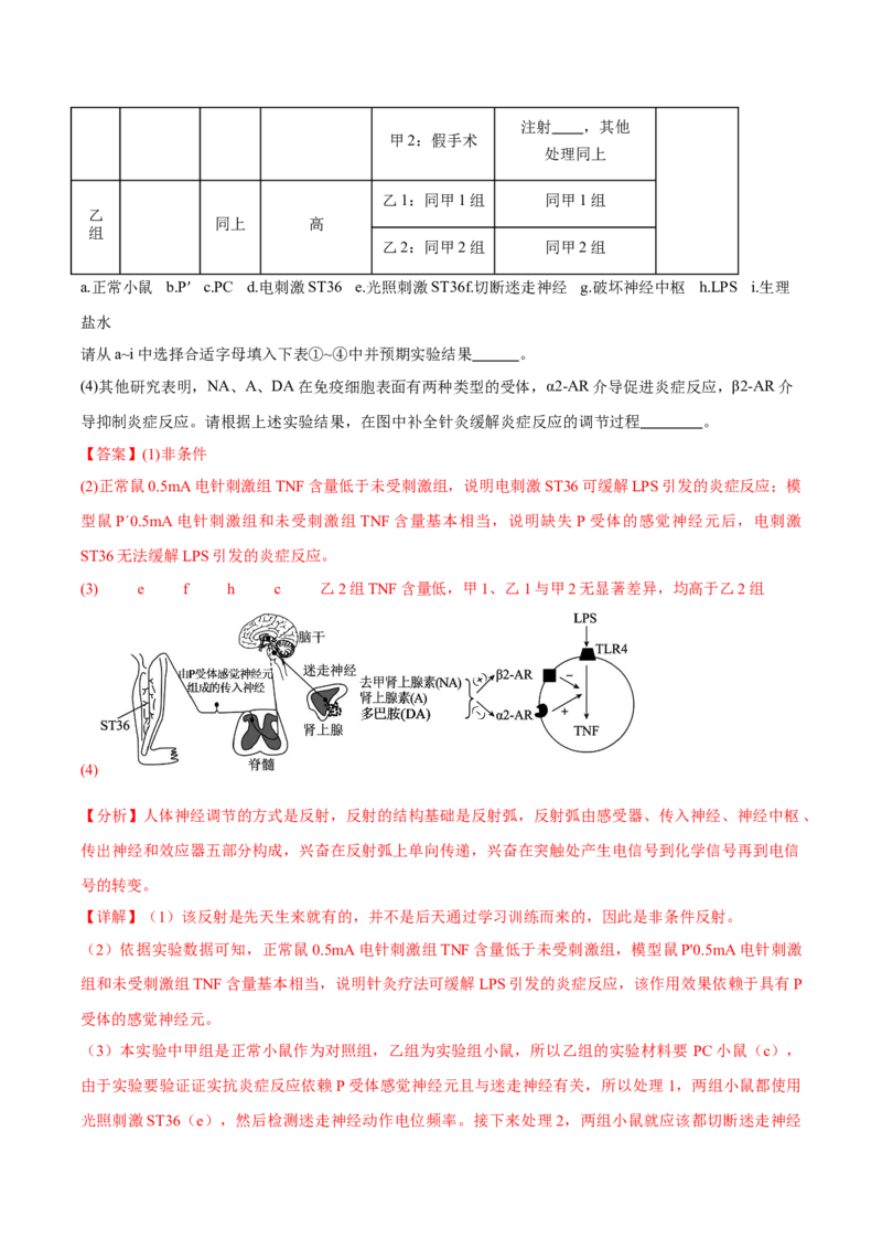 信息必刷卷04（北京专用）（解析版）_2025年新高考资料_2025考前信息卷_2025年高考生物考前信息必刷卷（北京专用）34427555