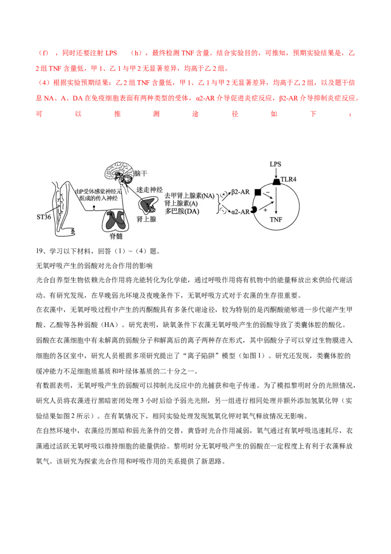 信息必刷卷04（北京专用）（解析版）_2025年新高考资料_2025考前信息卷_2025年高考生物考前信息必刷卷（北京专用）34427555