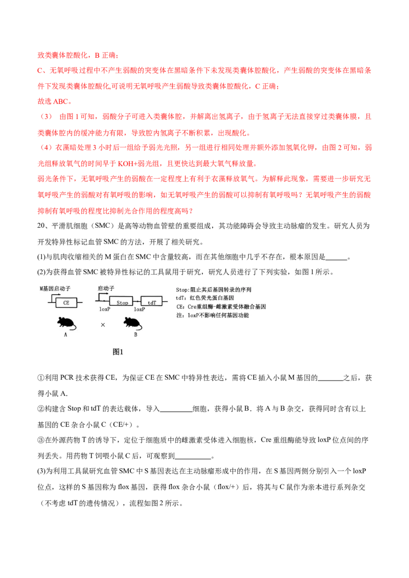 信息必刷卷04（北京专用）（解析版）_2025年新高考资料_2025考前信息卷_2025年高考生物考前信息必刷卷（北京专用）34427555