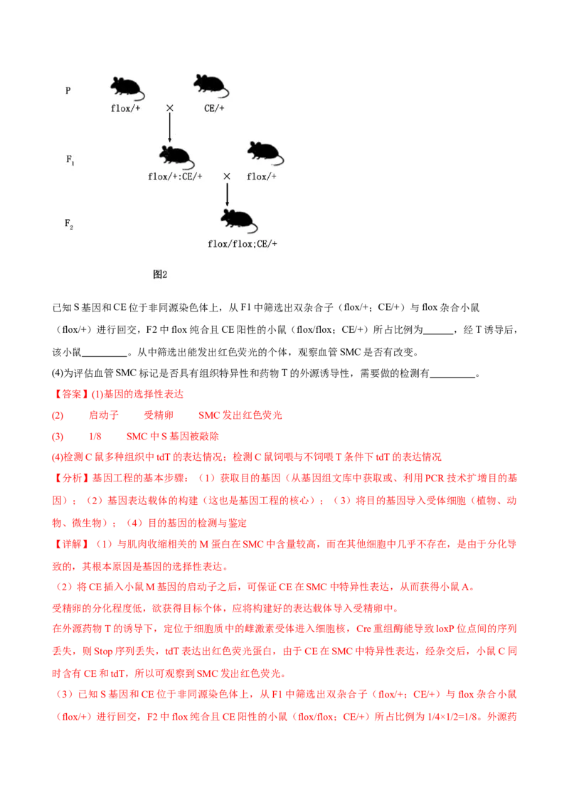 信息必刷卷04（北京专用）（解析版）_2025年新高考资料_2025考前信息卷_2025年高考生物考前信息必刷卷（北京专用）34427555