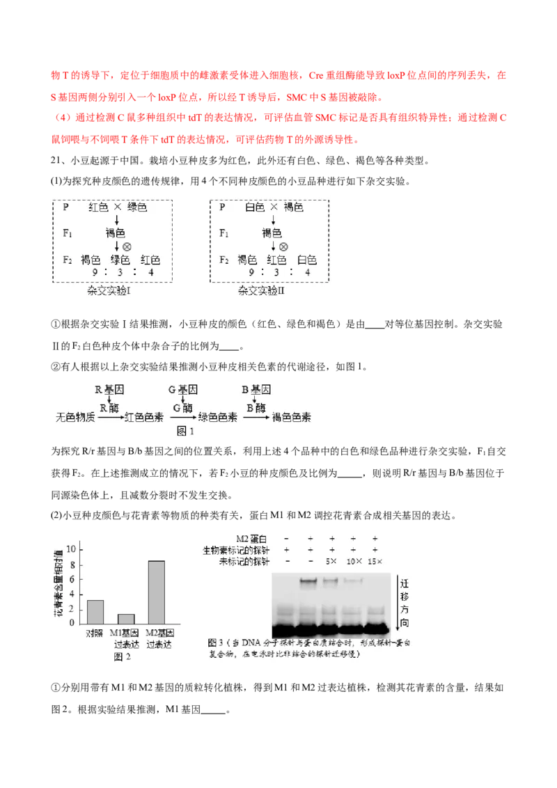 信息必刷卷04（北京专用）（解析版）_2025年新高考资料_2025考前信息卷_2025年高考生物考前信息必刷卷（北京专用）34427555