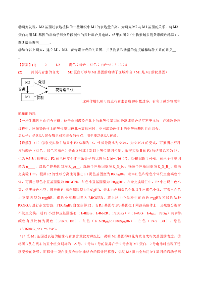 信息必刷卷04（北京专用）（解析版）_2025年新高考资料_2025考前信息卷_2025年高考生物考前信息必刷卷（北京专用）34427555
