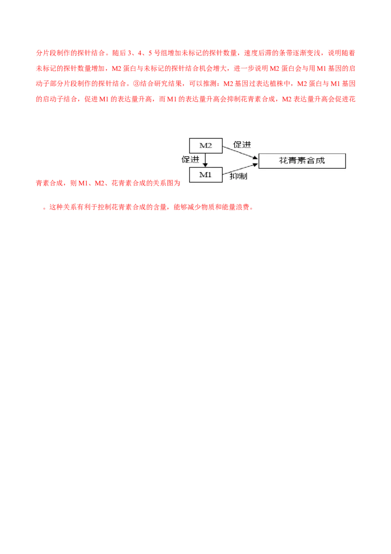 信息必刷卷04（北京专用）（解析版）_2025年新高考资料_2025考前信息卷_2025年高考生物考前信息必刷卷（北京专用）34427555