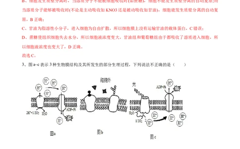 信息必刷卷04（北京专用）（解析版）_2025年新高考资料_2025考前信息卷_2025年高考生物考前信息必刷卷（北京专用）34427555