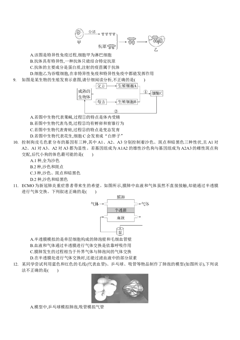 生物（呼和浩特卷）（考试版A4）_初中全科电子版试卷练习试题_生物_2024中考模拟题生物(1)_一模_生物（呼和浩特卷）-2024年中考第一次模拟考试