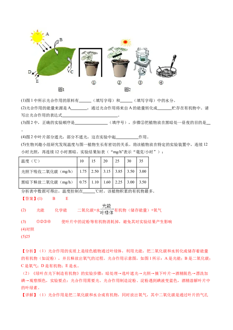 生物（广州卷）（全解全析）_初中全科电子版试卷练习试题_生物_2024中考模拟题生物(1)_二模_生物（广州卷）-：2024年中考第二次模拟考试