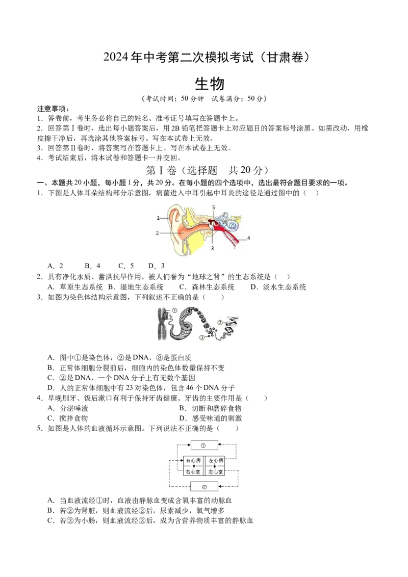生物（甘肃卷）（考试版A4）_初中全科电子版试卷练习试题_生物_2024中考模拟题生物(1)_二模_生物（甘肃卷）-：2024年中考第二次模拟考试