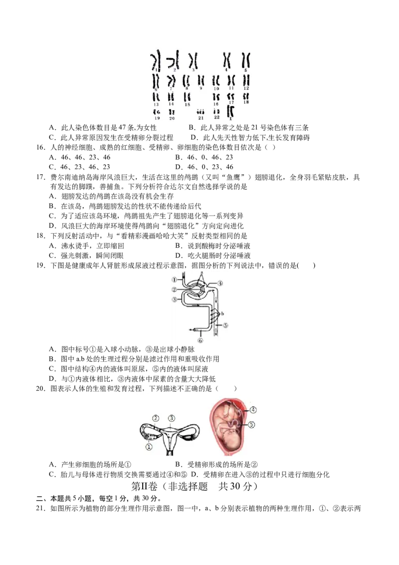生物（甘肃卷）（考试版A4）_初中全科电子版试卷练习试题_生物_2024中考模拟题生物(1)_二模_生物（甘肃卷）-：2024年中考第二次模拟考试