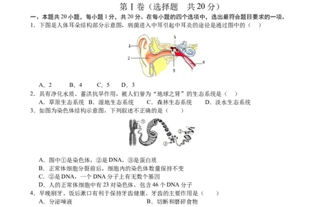 生物（甘肃卷）（考试版A4）_初中全科电子版试卷练习试题_生物_2024中考模拟题生物(1)_二模_生物（甘肃卷）-：2024年中考第二次模拟考试