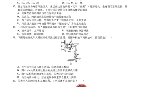 生物（甘肃卷）（考试版A4）_初中全科电子版试卷练习试题_生物_2024中考模拟题生物(1)_二模_生物（甘肃卷）-：2024年中考第二次模拟考试