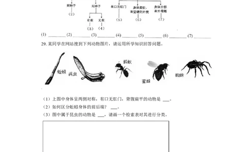 第一章根据生物的特征进行分类过关测试-（人教版）（原卷版）_初中全科电子版试卷练习试题_生物_生物8上练习_人教生物8年级上单元试卷48份
